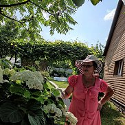 , 65 , 