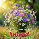 ���� ������, ������ - ��������� 13 ������� 2026 � ������ ������ ��������