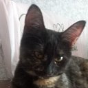 ���� ������, ������, 66 ��� - ��������� 20 ����� 2026