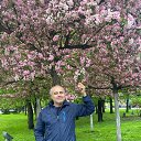 ���� �����, ������������, 52 ���� - ��������� 20 ������� 2025 � ������ ���� ����������