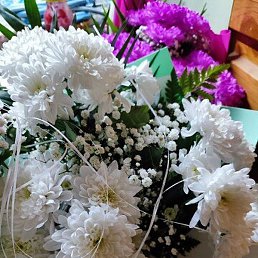 �����, ����, 42 ����