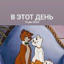 ���� Vitali, �������, 41 ��� - ��������� 14 ������� 2024 � ������ ���� ����������