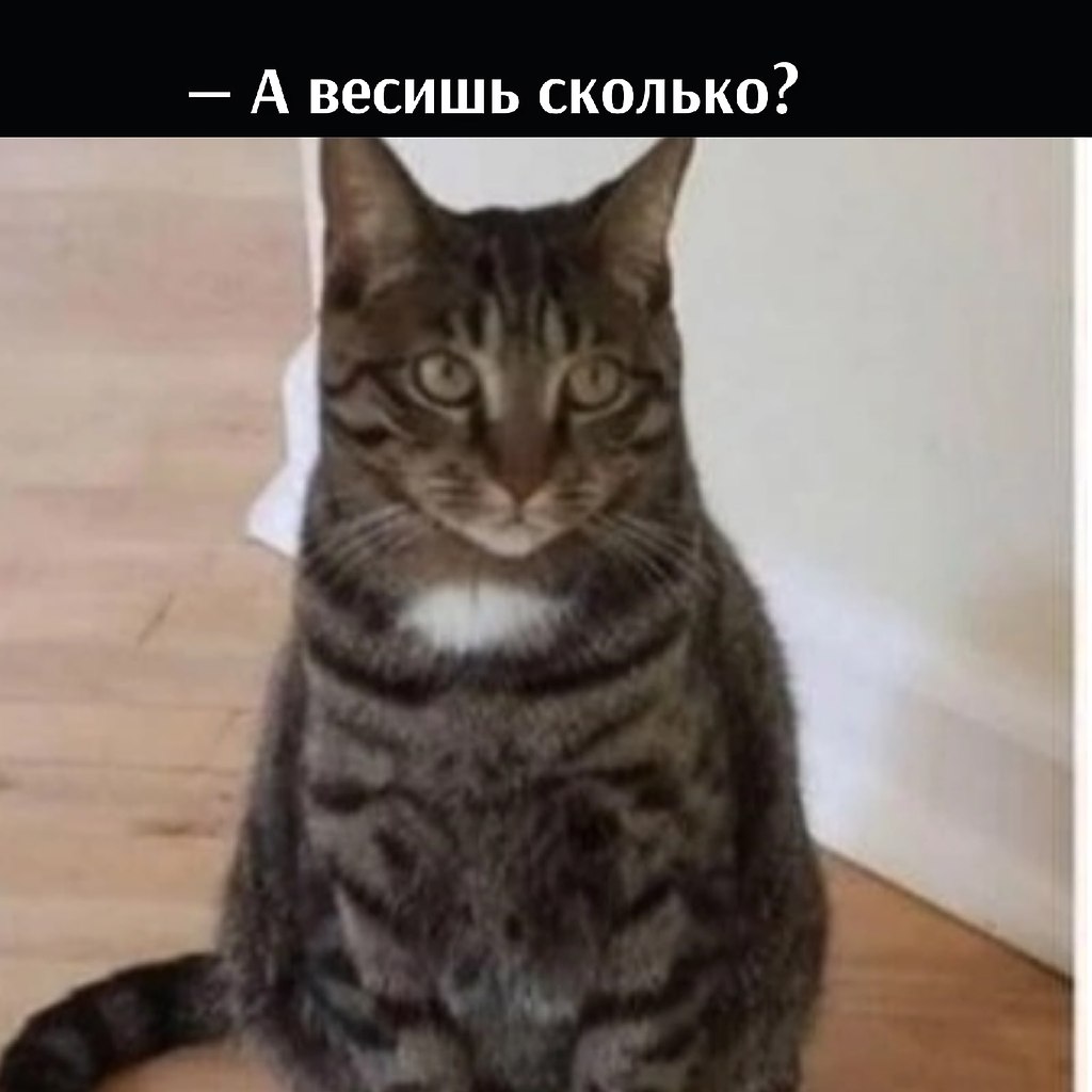 ��� ���� � ����� �� �� - 9 ������ 2026 � 17:12 - 3
