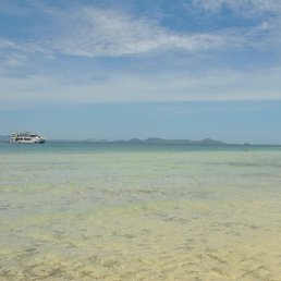 �������, �������, 43 ����