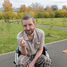 , 41, 
