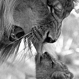 ������, ������, 42 ����