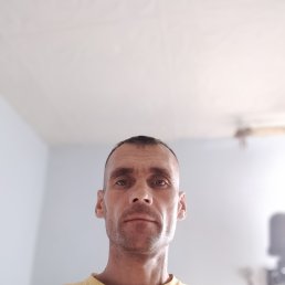 , 41, 