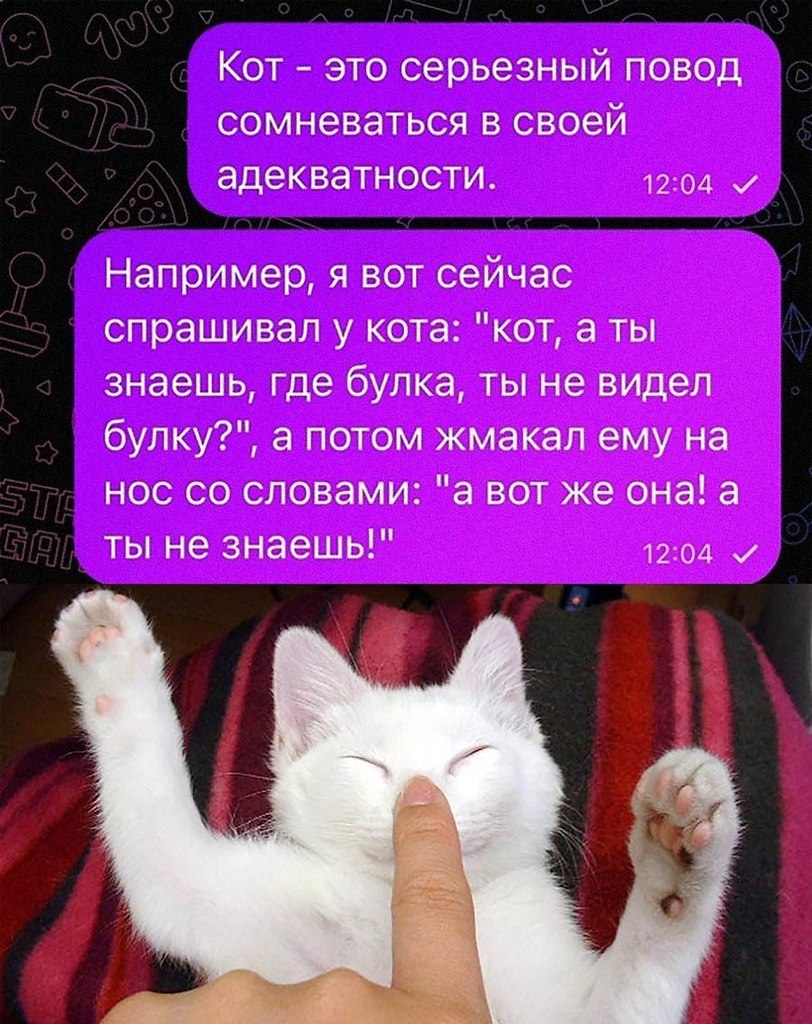    - 8  2025  12:33