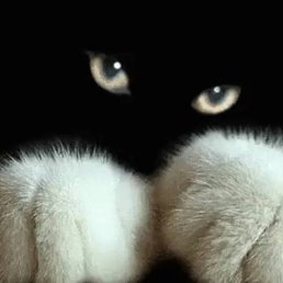  Helvkrim,  -  17  2025