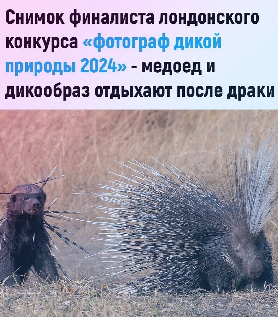 --