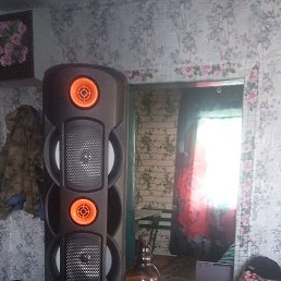 ���, �������, 37 ���