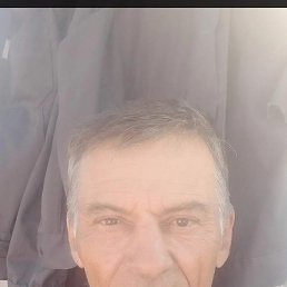 , 61, 