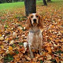 ���� **��������**, ������� - ��������� 13 ������ 2025 � ������ ������ ��������