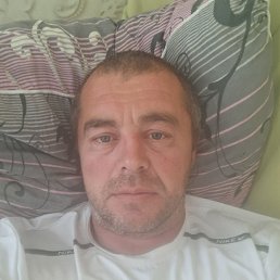 , 41, 