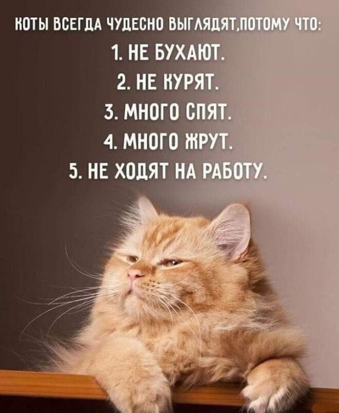 ***Victoria Viktorovna*** - 26  2024  01:08