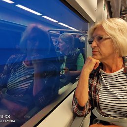 ������, ����������