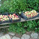 ���� �����, �������� - ��������� 26 ���� 2025 � ������ ������� 2025�