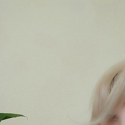 El-is, ������, 49 ���