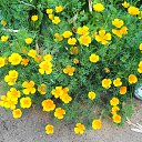 ���� �������, ��������, 69 ��� - ��������� 28 ���� 2026 � ������ ���� ����������