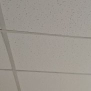 �������, 49 ���, ������