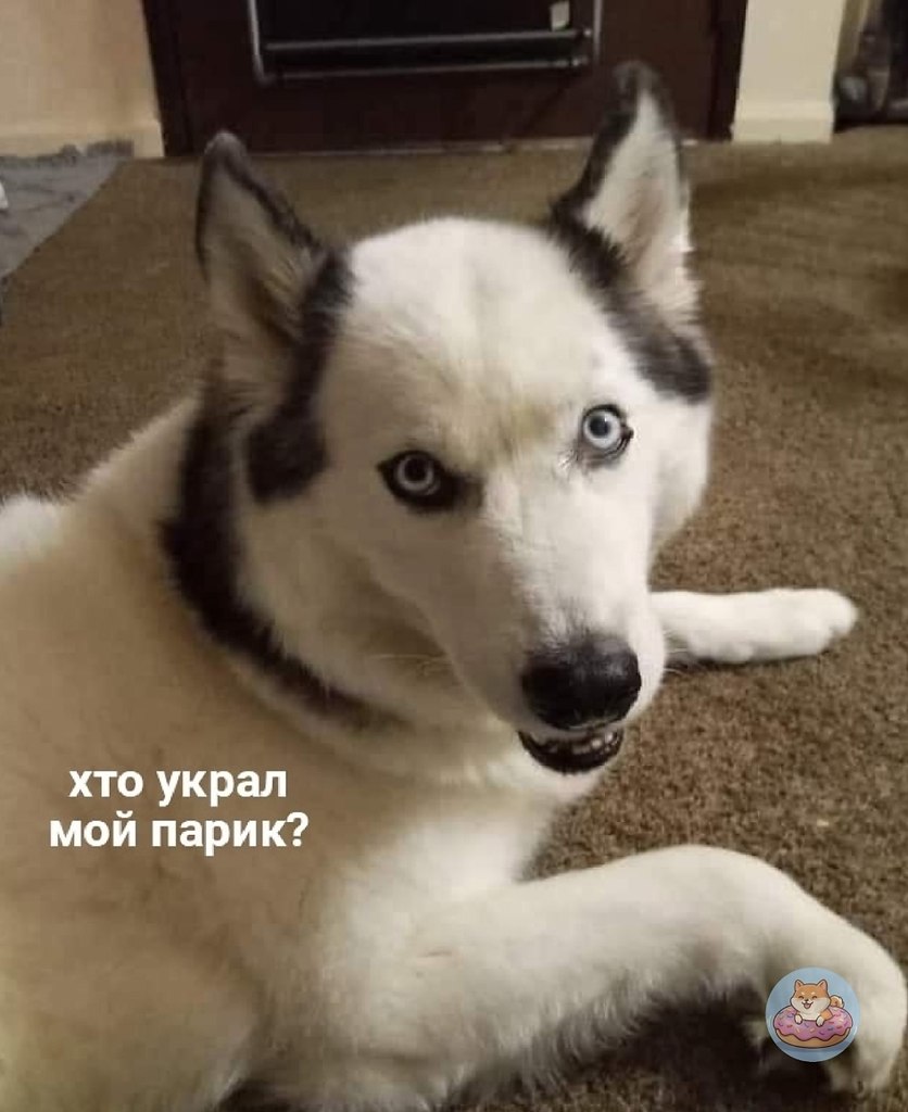    ,   ,    -  ,      ...