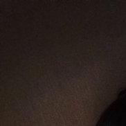, 41 , 