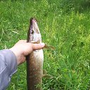  ,  , 40  -  15  2024    