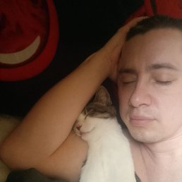 ��������, 38 ���, ������