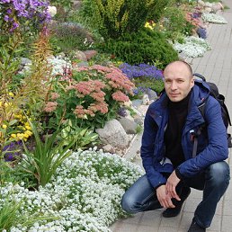 ���������, 41 ���, �������