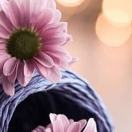 �������, ��������, 28 ���