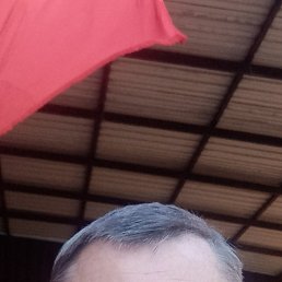 , 43 , 