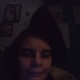 , , 29 