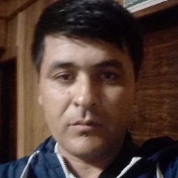 ���������, �����-���������, 43 ����