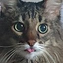 ���� �������, ������, 60 ��� - ��������� 7 ������ 2025 � ������ ���� ����������