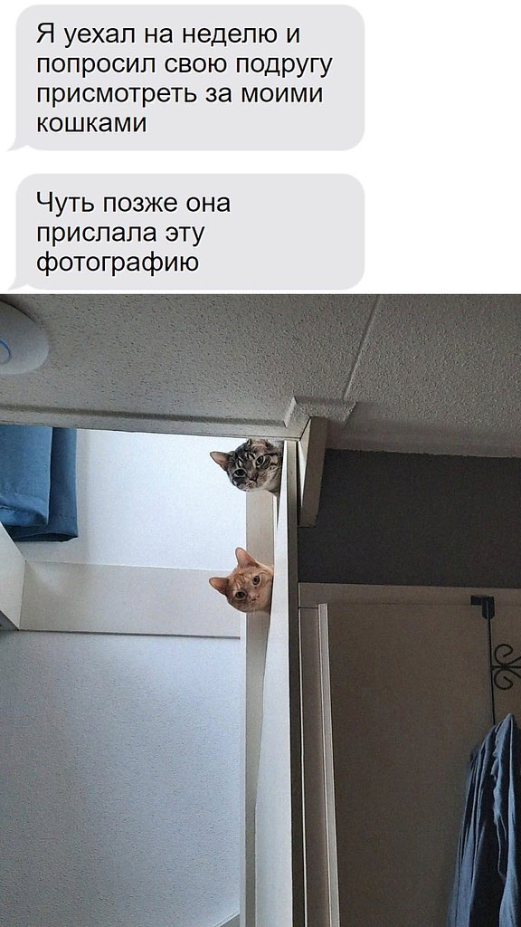    - 1  2024  00:37
