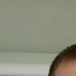 ������, ������, 41 ���