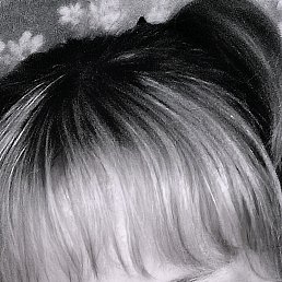 , 36, 