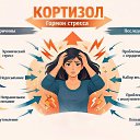 ���� ������, ������ ��������, 47 ��� - ��������� 7 ��� 2026 � ������ ������ ��������