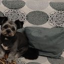 ���� �����, ���������, 62 ���� - ��������� 1 ��� 2026 � ������ ���� ����������