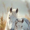 ���� Svetorada, ��������� - ��������� 10 ������ 2025 � ������ ������ ��������