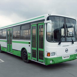 ���� Lis2956, �������������, 46 ��� - ��������� 2 ��� 2026
