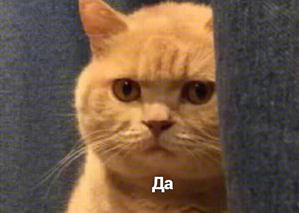  ! - 2
