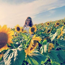 ����, �����, 31 ���