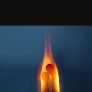 �����, 56 ���, ���������