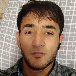 ������, �����-���������, 33 ����