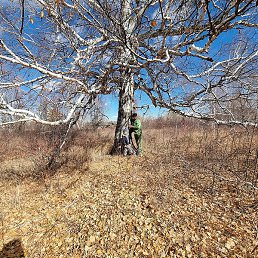 ����, �����������, 64 ����