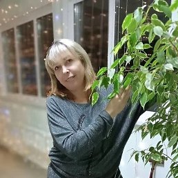 �����, �������, 51 ���