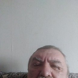 �����, ���, 65 ���