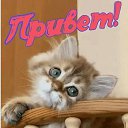���� ������, �������� - ��������� 13 �������� 2026 � ������ ������ ��������