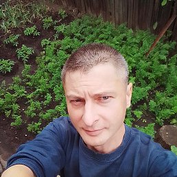 , 38, 